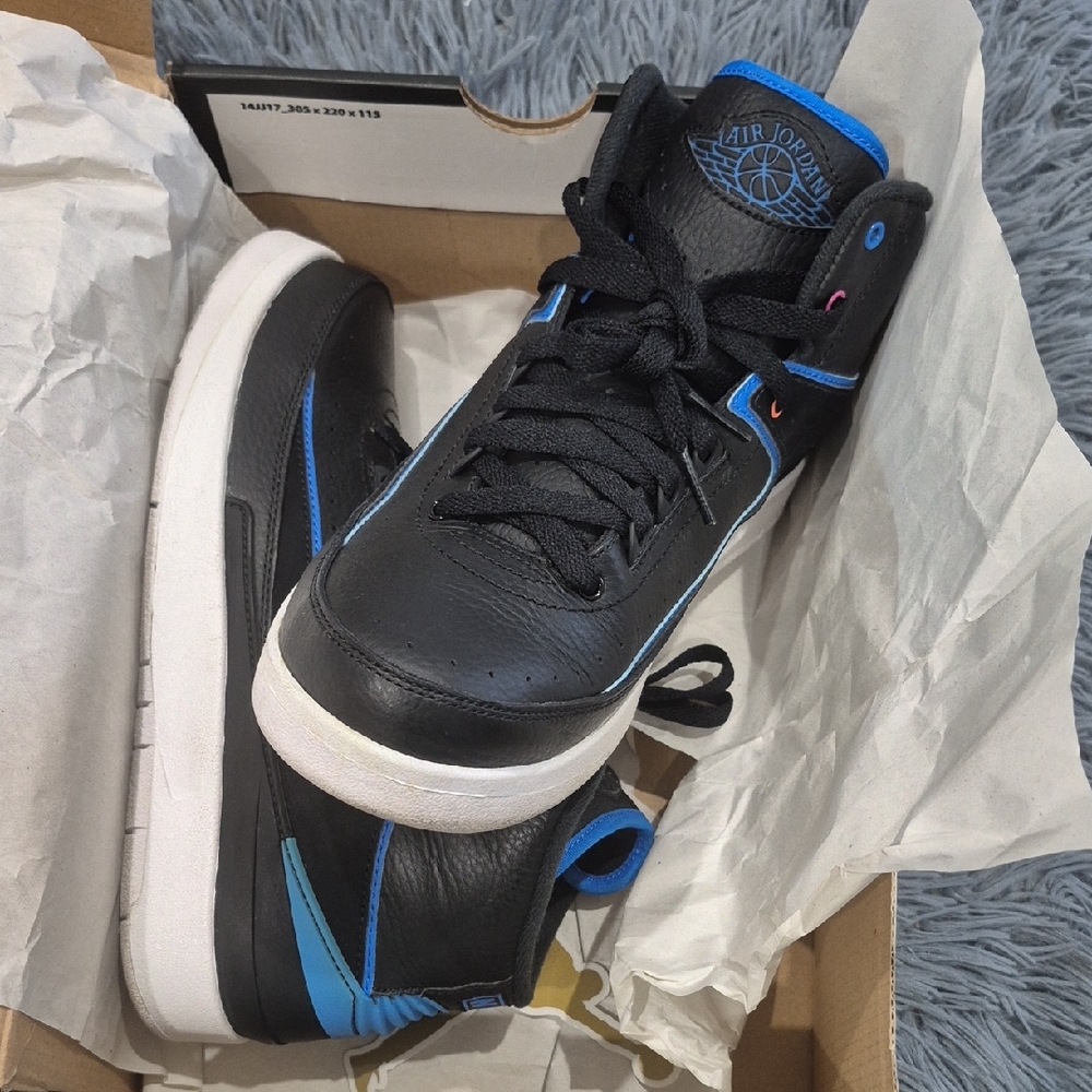 Air Jordan 2 Retro